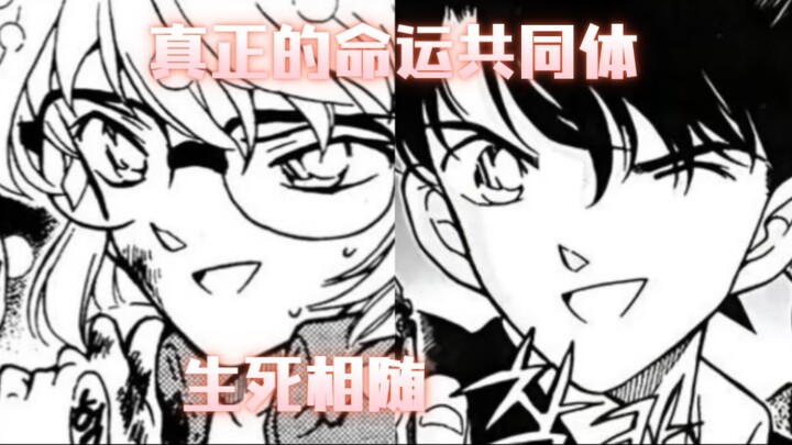 [Ko-Ai] [Tản mạn] [Phân tích & Giải thích] Bàn sơ về những điểm nhạy cảm của Ko-Ai trong lời mới của