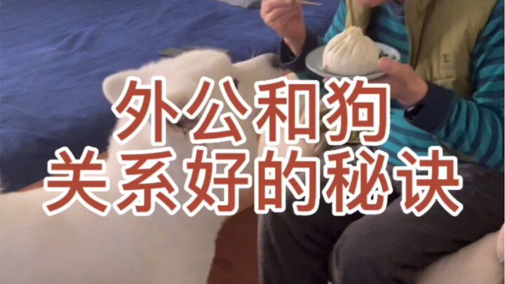 سر العلاقة الجيدة بين الجد والكلب