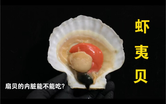 รู้ไหมทำไมถึงเรียกว่าหอยเชลล์ฮาวาย? แล้วนึ่งหอยเชลล์ยังไงให้คงความสดหวานไว้ได้แบบไม่แข็งกระด้าง?