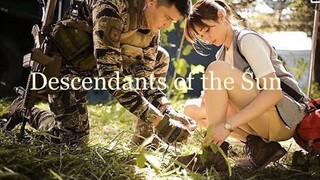 Descendants of the Sun Episode 1 Reaction