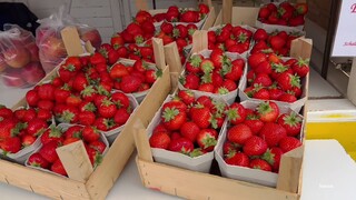 Strawberry fields in Germany