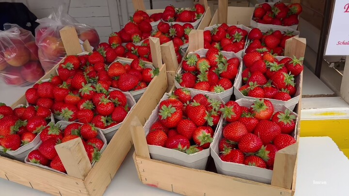Strawberry fields in Germany
