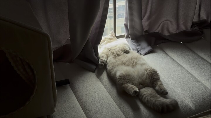 Akhirnya aku paham kenapa dia begitu suka tidur telentang!