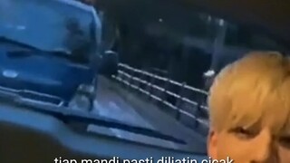 cicak oh cicak kenapa kau ngintip gw mandi