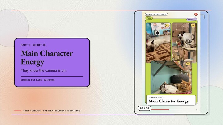 Siamese Cat Café #08 — Main Character Energy + The Shy Ones