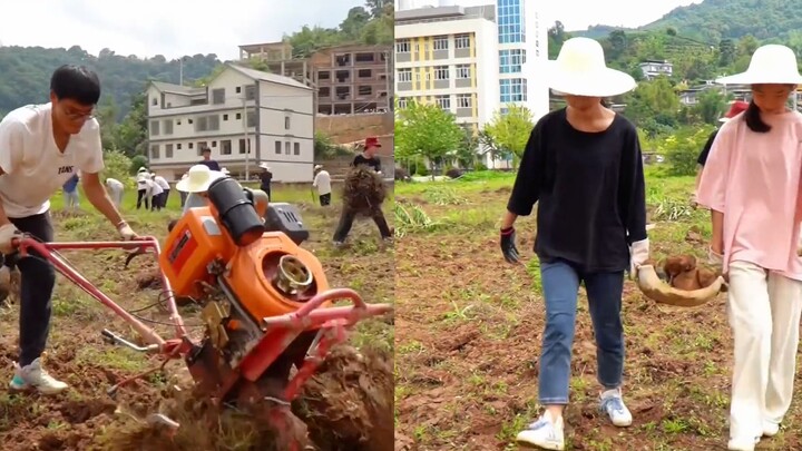 男生卖力宣传母校，被吐槽是招生减章，欢迎报考云南农业大学