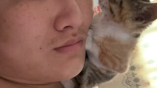 Bahkan jika dilakukan sepuluh ribu kali lagi, hasilnya tetap sama