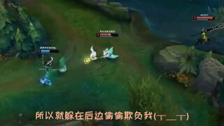 两只只露露互殴