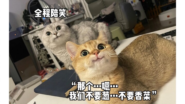 عندما جررت صديقي الانطوائي نفسه لمساعدتي في الطلب: