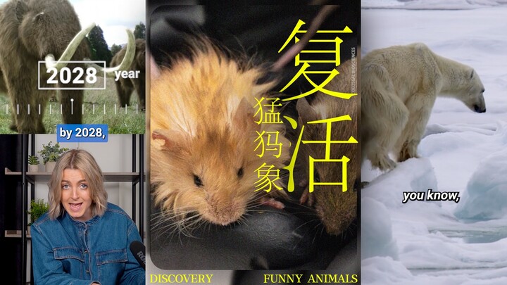 This long-haired little mouse might hold the key to resurrecting the woolly mammoth.