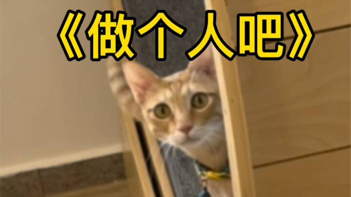 Seekor Kucing Oranye dengan OCD