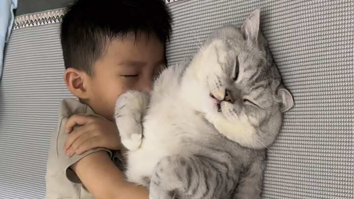 The little brother was talking to Dazhuang, and before he knew it, he fell asleep in his arms.