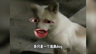 放过我吧妹妹