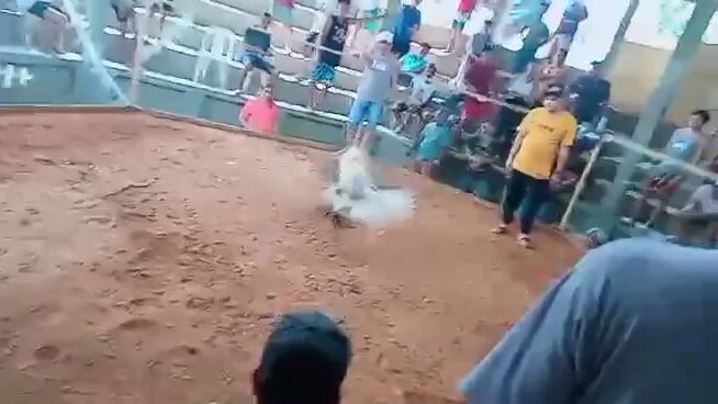laban ko sa bicol talisayin akin .😎