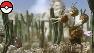 [Chinese subtitles] Pokémon National Geographic: Dodoli