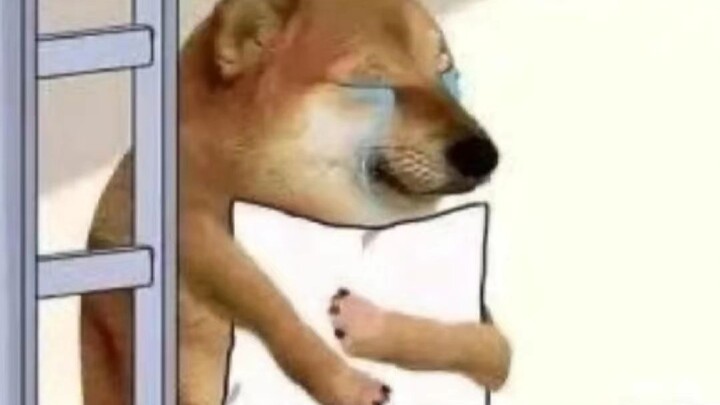 How does Mom manage to say nothing superfluous yet every sentence is a classic? She's truly so clear