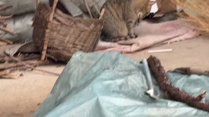 พูดไปแล้วก็ไม่อยากพูดอีก