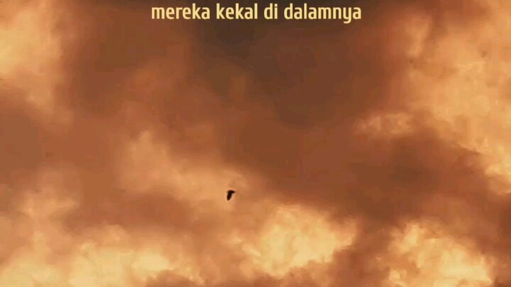 Al Ankabut.