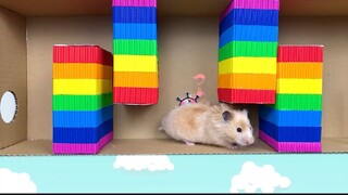 ภารกิจของหนูแฮมสเตอร์ EP 405