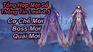 Tổng Hợp Một Số Thông Tin Bản Leak 2.5, Cơ Chế Mới, Quái Mới, Boss Lôi Thần!! | Genshin Impact.