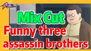 [The daily life of the fairy king]  Mix cut | Funny three assassin brothers