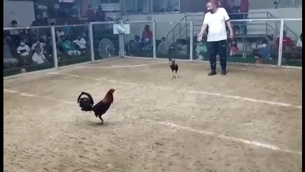 master JL game Farm