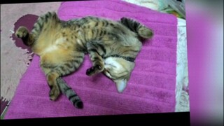 หลับให้สบายนะ