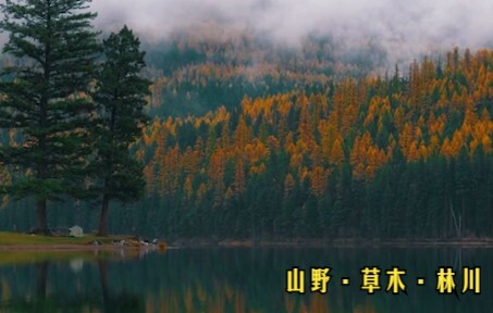 Touch the earth and its flowers with your heart, and feel the unique beauty of plants and mountains—