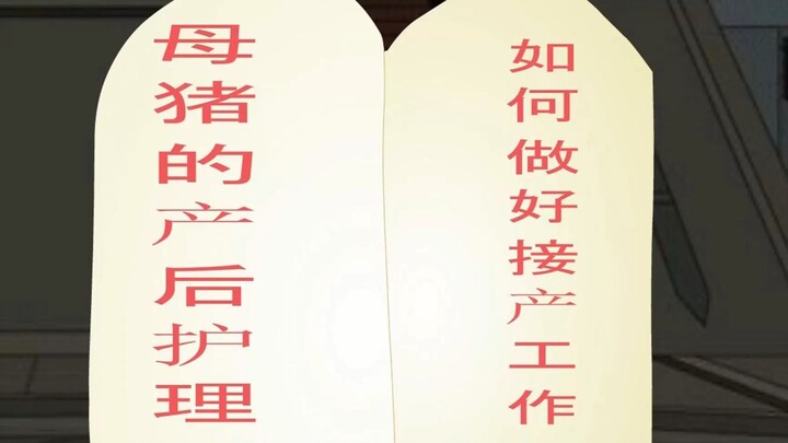 抽象合欢宗第二集母猪的产后护理