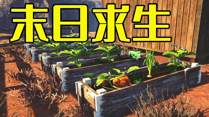 Sebuah game zombie yang mengharuskan Anda bertahan hidup dengan bertani di dunia pasca-apokaliptik! 
