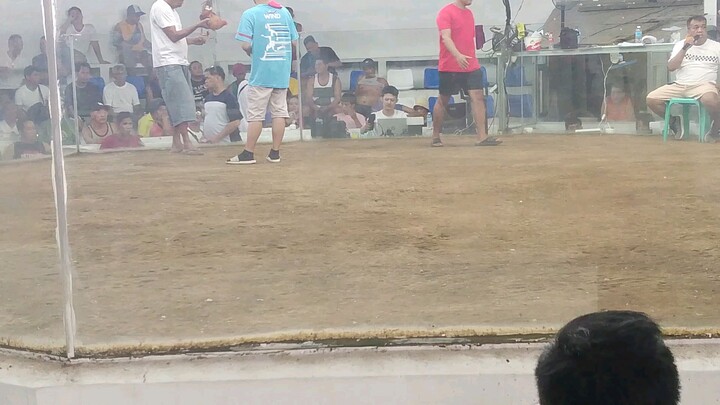 gold sweater 1x winner