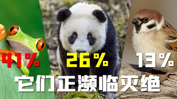 Con người còn có thể tồn tại trên Trái Đất trong bao lâu nữa? Liệu cuộc đại tuyệt chủng lần thứ sáu 