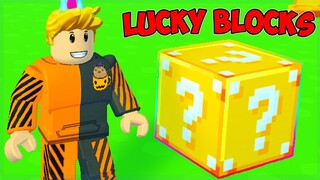 NEW LUCKY BLOCKS IN PET SIMULATOR X IS INSANE!