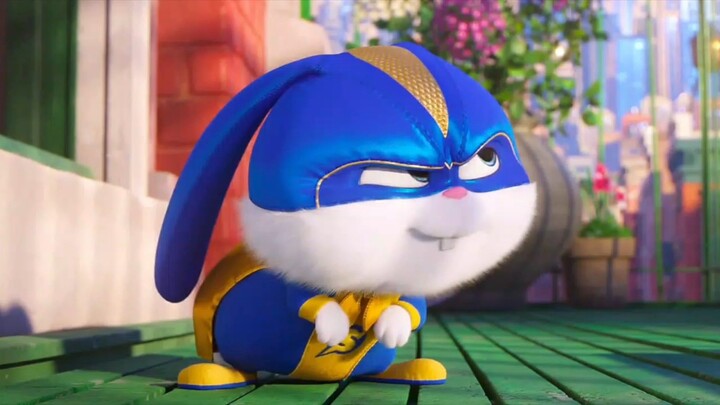 Good morning from snowball😎