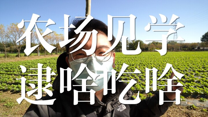 [Food Era Field Trip] Grab Whatever You Can at the Organic Farm: The Secret Behind Affordable Organi