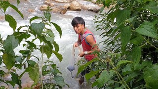 Fishing in small steep river of Nepal | Himalayan trout fishing | Asala fishing |
