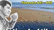 The Pinnacle of Life / Kabanata 641 - 645