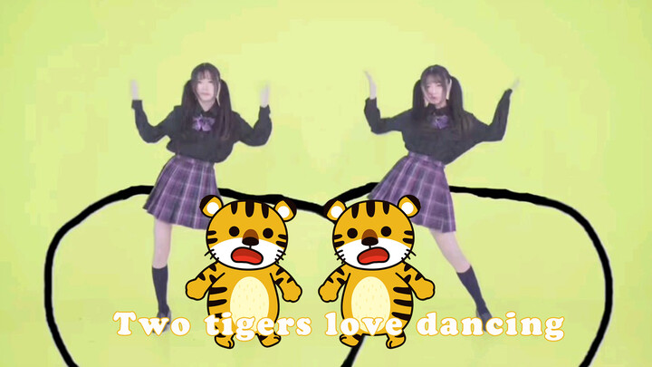 Four Tigers Who Love Dancing