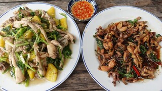 Nhái cơm xào khóm, nhái kho rau răm - Bin Đen Miền Tây # 336