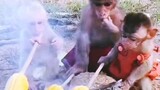 Baby monkey and mother monkey eating roasted corn