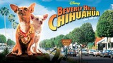 Billionaire Chihuahua thrown into dog fighting ring😱😱 #movie #film #beverlyhillschihuahua