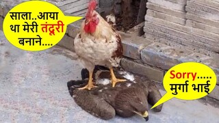 इन बदमाश जानवरों से जरा बच के रहना |Most Funny Animals Doing Stupid Things Part -81 Comedy Animals