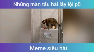 Những màn tấu hài lầy lội p5