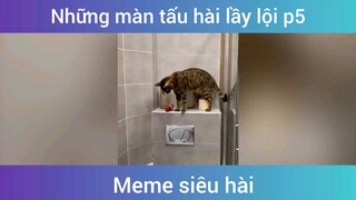 Những màn tấu hài lầy lội p5