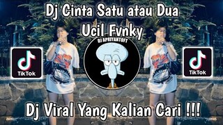 DJ CINTA SATU ATAU DUA UCIL FVNKY VIRAL TIK TOK TERBARU 2022 YANG KALIAN CARI !