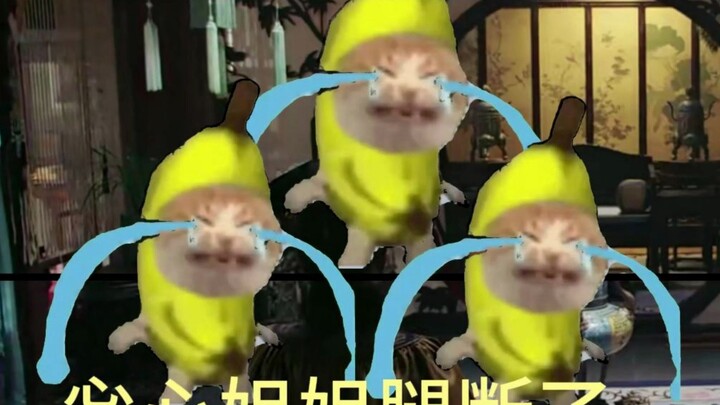 Ruyi's Royal Love in the Palace - Cat Meme: The Villain vs. the Maid VS Daru vs. the Maid