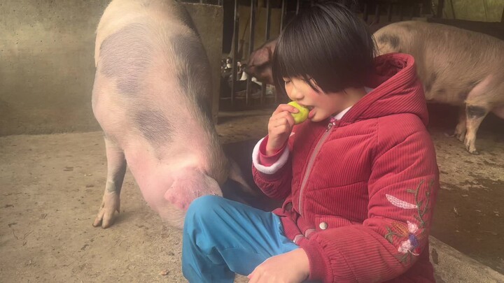 Berani mengganggu putriku, hanya ada jalan mati saja.