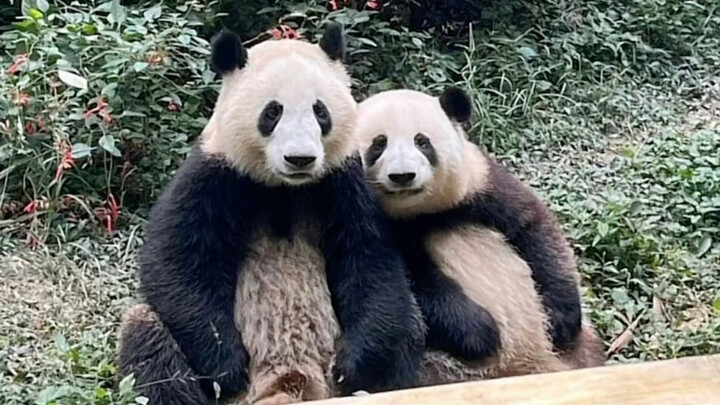 Kazue’s such a warm guy!