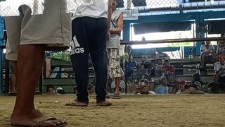 nadale sa ilalim yung gold natin Pero ganda padin performance. Loss