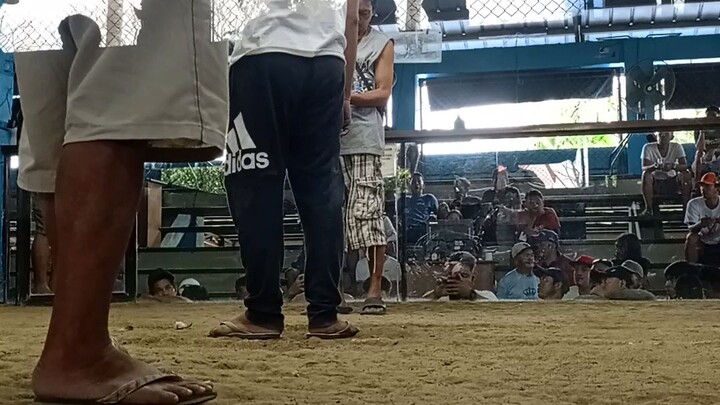 nadale sa ilalim yung gold natin Pero ganda padin performance. Loss